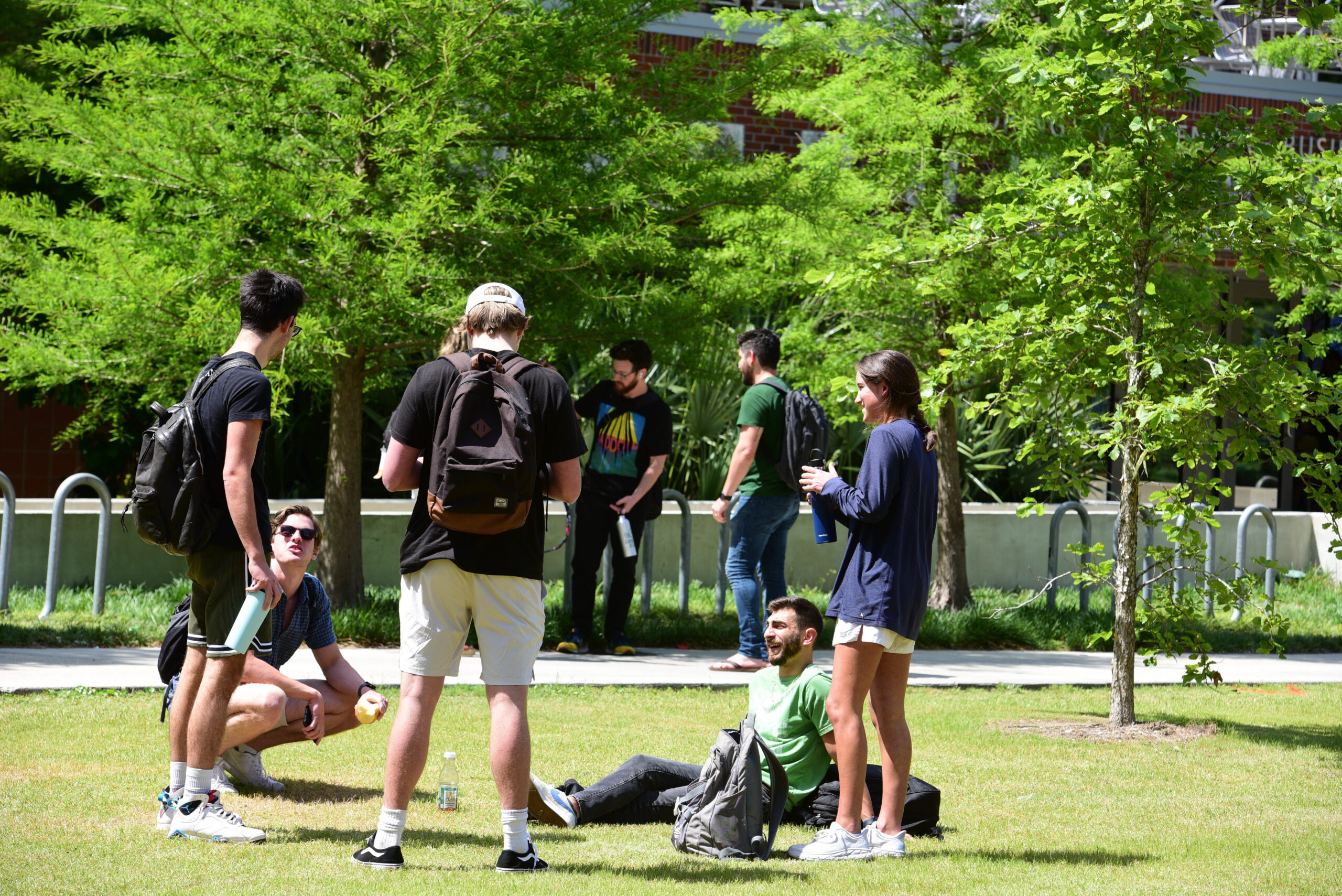 MBA students relaxing on campus