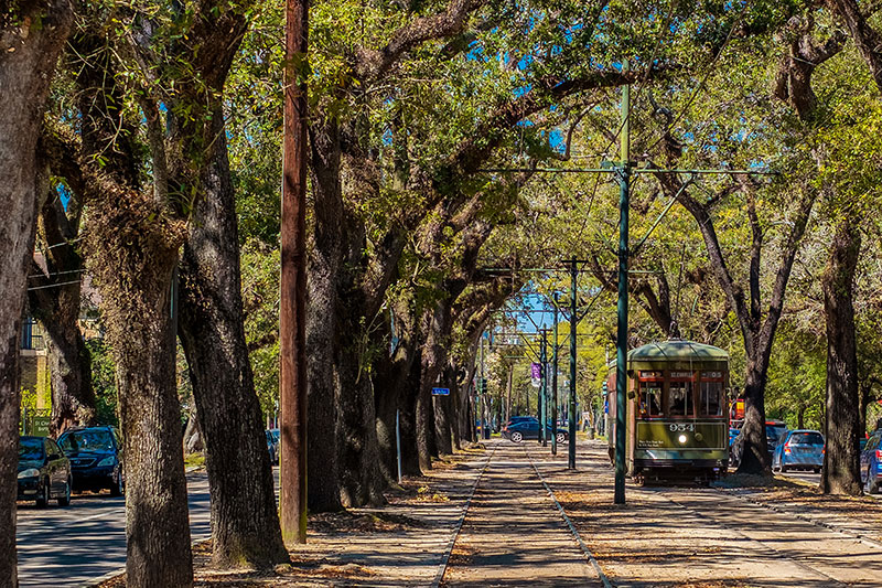 Streetcar on St. Charles Avenue