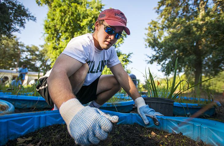 First-year student Ben McManus from Florida helps plant irises on Nursery Island in City Park. (Photo by Ryan Rivet)