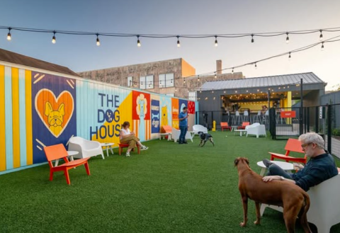 The Dog House Interior 