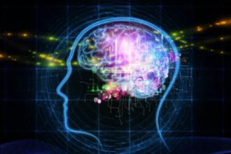 Estia Pharmaceuticals and Vascular Therapeutics — comprised of Tulane alumni and students — were among only 13 teams selected as winners of the Neuro Startup Challenge, which attracted more than 70 teams.