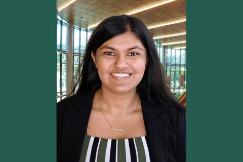 Dee Parekh
